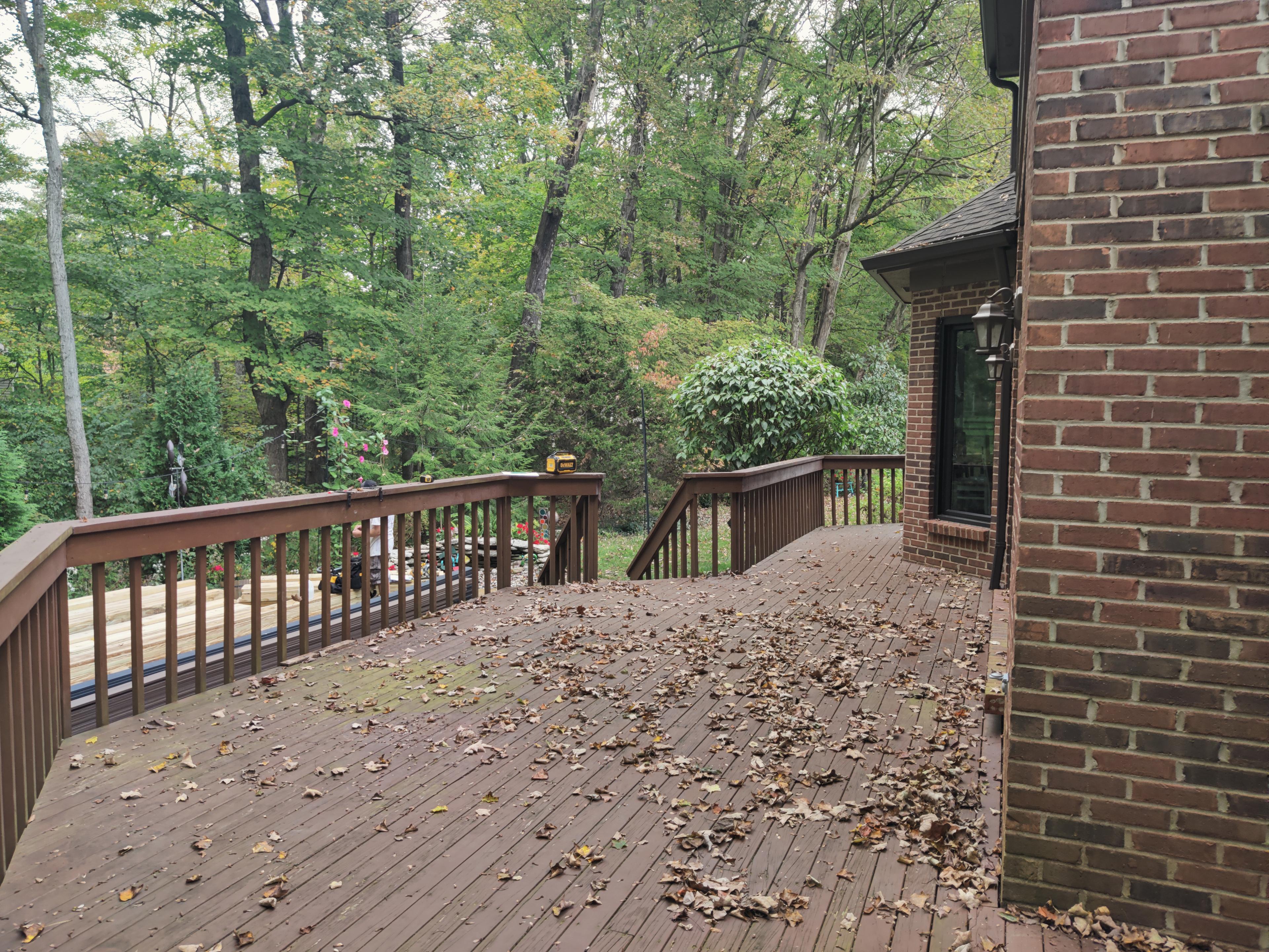 Kemper Grove before